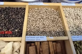 Giá tiêu hôm nay 22-4: Không giữ được giá