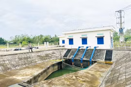 Quan tâm đầu tư hệ thống thủy lợi phục vụ sản xuất lúa nước