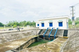 Quan tâm đầu tư hệ thống thủy lợi phục vụ sản xuất lúa nước