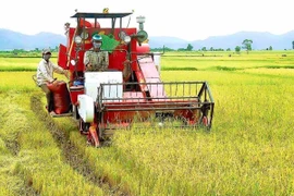 Xây dựng xã Phú Thiện phát triển nhanh, bền vững