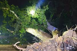 Mưa dông kèm lốc xoáy cường độ mạnh gây nhiều thiệt hại ở Nghệ An