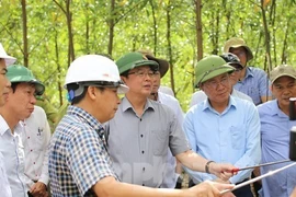 Bí thư, Chủ tịch tỉnh Bình Định khảo sát tiềm năng núi Vũng Chua