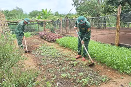 Đồn Biên phòng Ia Nan: Đồng hành cùng dân giảm nghèo, xây dựng nông thôn mới