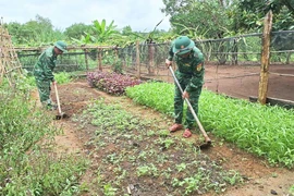 Đồn Biên phòng Ia Nan: Đồng hành cùng dân giảm nghèo, xây dựng nông thôn mới
