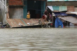 Đề nghị 32 tỉnh, 7 bộ ứng phó mưa lớn, rét đậm, rét hại và gió mạnh