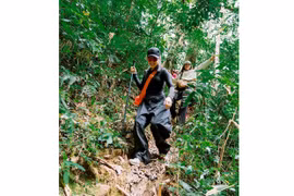 Mùa du lịch rừng