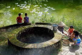 Thơ Nguyễn Ngọc Hạnh: Giếng xưa