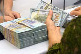 Rà soát gần 165.000 tài khoản bán hàng online, truy thu hơn 747 tỉ đồng thuế