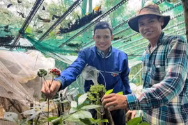 Tặng sâm để... giữ rừng