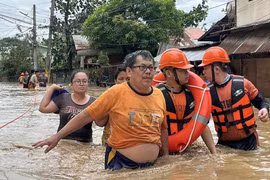 130 người chết do bão Kalmaegi, Philippines điều tra 500 dự án chống lũ