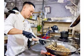 Sâm khỏe Kbang cần được bảo tồn và khai thác có hiệu quả