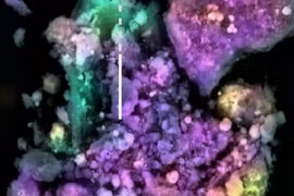 Phát hiện thứ giống kẹo cao su ở thế giới ngoài Trái Đất