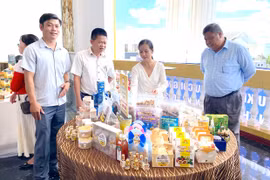 Phát triển kinh tế tập thể: Để chất đi đôi với lượng