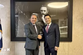 Việt Nam định hình vị thế mới với đường lối đối ngoại toàn diện