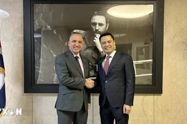 Việt Nam định hình vị thế mới với đường lối đối ngoại toàn diện