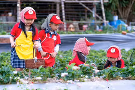 Nông nghiệp xanh: Giảm chi phí, tăng lợi thế cạnh tranh