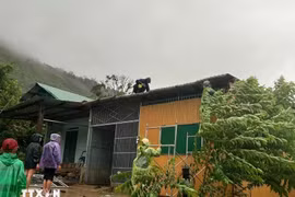 Kon Tum ghi nhận nhiều thiệt hại do bão số 1, khả năng vẫn tiếp tục đón mưa lớn