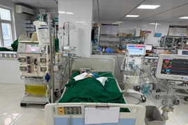 Bé gái 9 tuổi nguy kịch vì bị đàn ong vò vẽ đốt hơn 50 nốt