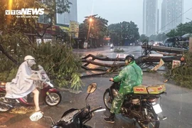 Cuối tháng 9, Biển Đông có thể đón 1-2 cơn bão mạnh