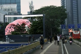 Google ra mắt biển quảng cáo 'xuyên thấu' tại Indonesia