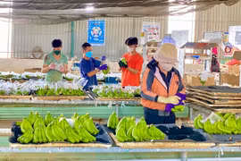 Định giá tài sản hình thành trong tương lai: Thêm “cánh cửa” tiếp cận vốn cho doanh nghiệp