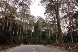 Vườn Quốc gia Pù Mát: Điểm đến thiên nhiên lý tưởng ở Nghệ An