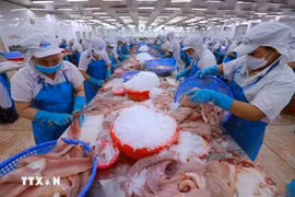 Hoa Kỳ áp thuế đối ứng 46%: Việt Nam ứng phó ra sao?