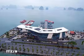 Quảng Ninh: Tạo sự khác biệt, phát huy tiềm năng du lịch vịnh Bái Tử Long