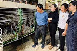 Thu nhập nửa tỷ đồng từ nuôi chồn hương