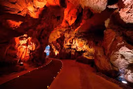 Đưa tiệc nhẹ và show thực cảnh vào hang: Chuyên gia khuyến cáo gì?