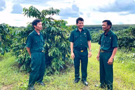 Các Cựu chiến binh xã Ia Pia tích cực lan tỏa tinh thần “Bộ đội Cụ Hồ” qua những việc làm cụ thể, mang lại sự đổi thay tích cực cho cộng đồng.