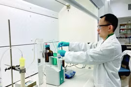 Khai thác vàng 'xanh'