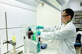 Khai thác vàng 'xanh'