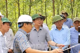 Bí thư, Chủ tịch tỉnh Bình Định khảo sát tiềm năng núi Vũng Chua