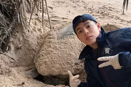 Nam thanh niên 'đỡ đẻ' cho rùa