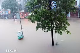 Bắc Bộ mưa lớn, có nơi 500 mm, cảnh báo lũ quét và sạt lở đất