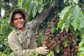 Phát triển kinh tế tư nhân ở vùng sâu, vùng xa