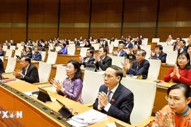 Phê chuẩn một số Phó Chủ tịch và Ủy viên Hội đồng bầu cử quốc gia