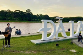 Vi vu tết Dương lịch