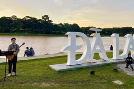 Vi vu tết Dương lịch