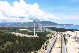 Phát triển năng lượng sạch, hướng tới Net Zero