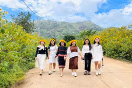 Định vị thương hiệu du lịch Gia Lai