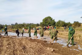 Xây thế trận lòng dân từ mô hình trồng lúa nước