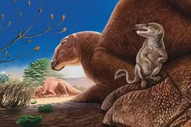 Sinh vật quái dị 90 triệu tuổi lộ diện giữa sa mạc Gobi