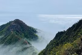 Săn mây Tà Xùa, trekking khu rừng phủ rêu ma mị như trong phim