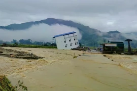 Sinh kế bền vững cho vùng thiên tai