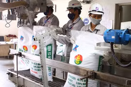 Kim ngạch xuất khẩu phân bón tăng 26,6%