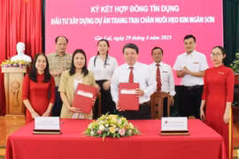 Ngân hàng đầu tư tín dụng vào lĩnh vực chăn nuôi khép kín