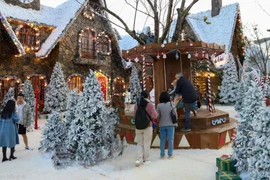 Khám phá Làng Tuyết mùa đông giữa phố núi Đà Lạt