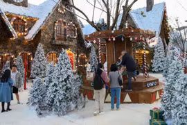 Khám phá Làng Tuyết mùa đông giữa phố núi Đà Lạt